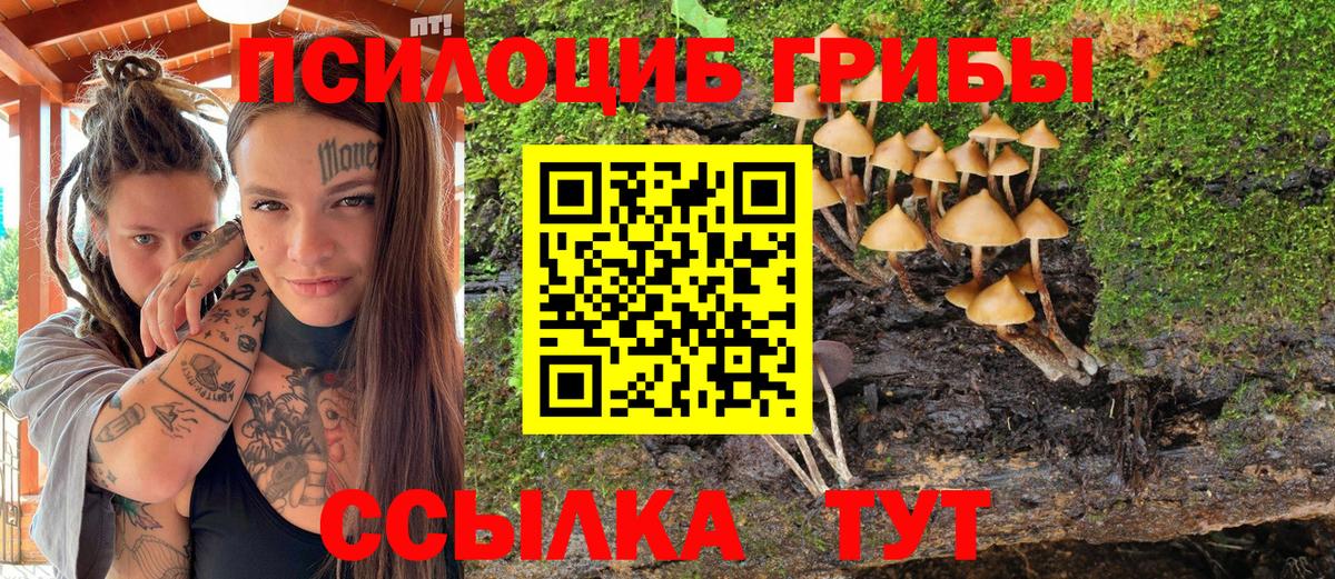 Джанкой  Галлюциногенные грибы Magic Shrooms  наркошоп  Вход с VPN 