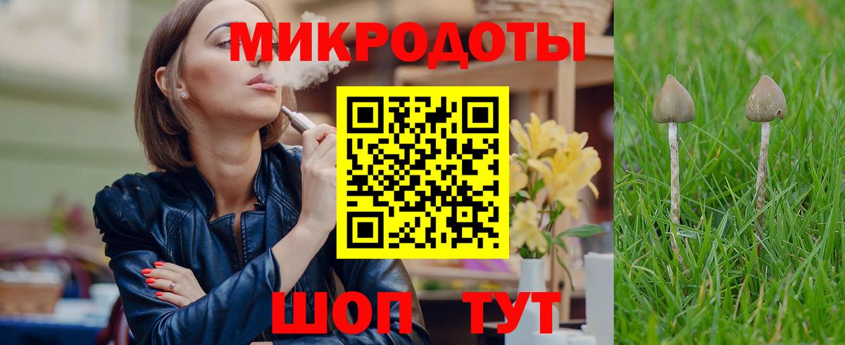 Псилоцибиновые грибы мицелий Джанкой